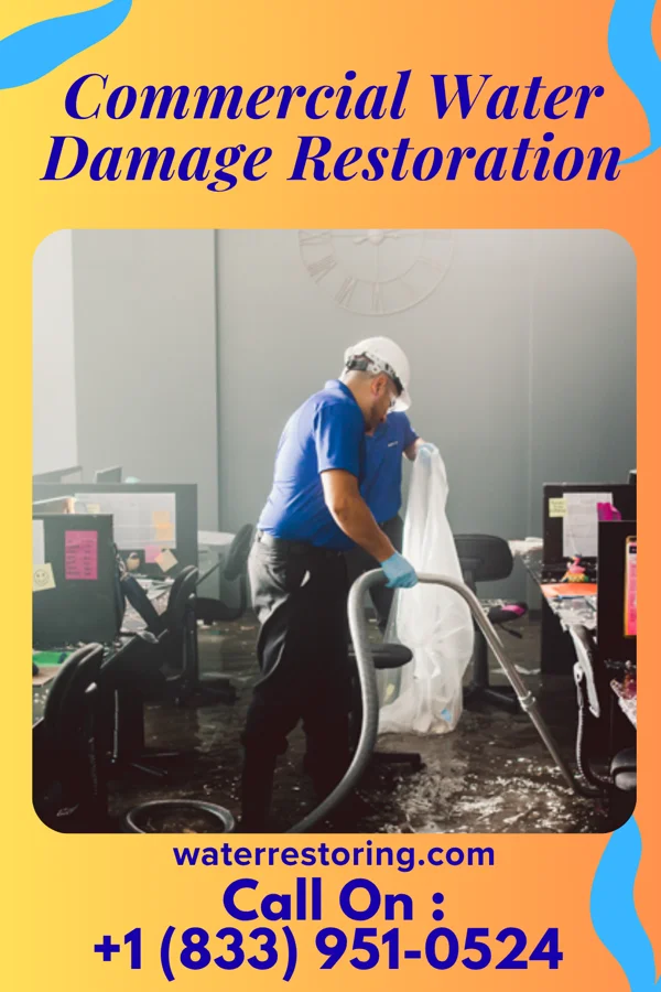Commercial Water Damage Restoration in Dadeville, AL